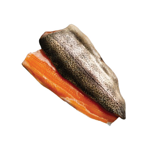 Whole Salmon Fillet